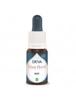 Image de Buis Bio - Liberté et réalisation de soi Elixir floral 15 ml - Deva depuis Elixirs floraux unitaires de Deva