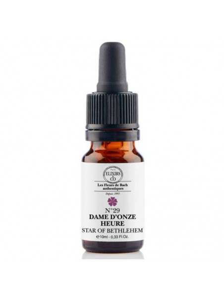 Achetez Dame d'onze heure (Star of Bethlehem) N°29 Bio Choc et Chagrin Fleurs de Bach 10 ml - Elixirs and Co à l'herboristerie Louis Image principale de Dame d'onze heure (Star of Bethlehem) N°29 Bio Choc et Chagrin Fleurs de Bach 10 ml - Elixirs and Co