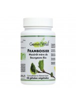 Image de Framboisier Bourgeon Bio - Troubles Féminins 60 gélules végétales - Vit'all+ depuis Découvrez nos bourgeons unitaires naturels pour un bien-être complet (3)