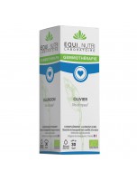 Image de Olivier Macérât de Jeune Pousse Bio - Circulation 30 ml - Equi-Nutri depuis Découvrez nos bourgeons unitaires naturels pour un bien-être complet (4)