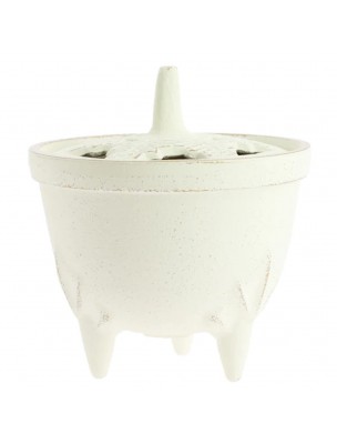 Image 66553 supplémentaire pour Brûle-Parfum Iwachu Blanc - Diffuseur d'Encens