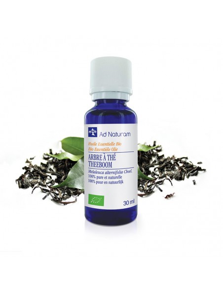 Achetez Arbre à Thé (Tea tree) Bio - Huile essentielle de Melaleuca alternifolia 30 ml - Ad Naturam à l'herboristerie Louis Image principale de Arbre à Thé (Tea tree) Bio - Huile essentielle de Melaleuca alternifolia 30 ml - Ad Naturam
