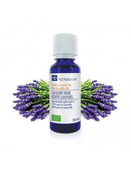 Achetez Lavande Vraie Bio - Huile essentielle de Lavandula angustifolia 30 ml - Ad Naturam à l'herboristerie Louis Image principale de Lavande Vraie Bio - Huile essentielle de Lavandula angustifolia 30 ml - Ad Naturam