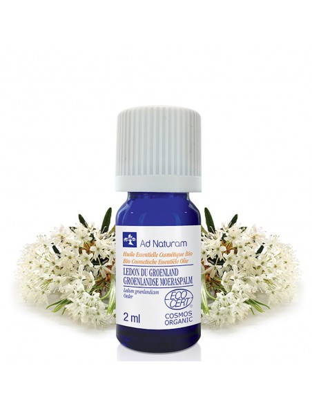 Achetez Lédon du Groënland Bio - Huile essentielle de Rhododendron groenlandicum 2 ml - Ad Naturam à l'herboristerie Louis Image principale de Lédon du Groënland Bio - Huile essentielle de Rhododendron groenlandicum 2 ml - Ad Naturam