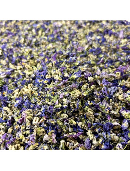 Achetez Violette - Fleurs 25g - Tisane de Viola odorata à l'herboristerie Louis Image principale de Violette - Fleurs 25g - Tisane de Viola odorata