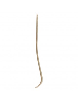 Image 74345 supplémentaire pour Cuillère à Matcha - Accessoire en Bambou - Aromandise