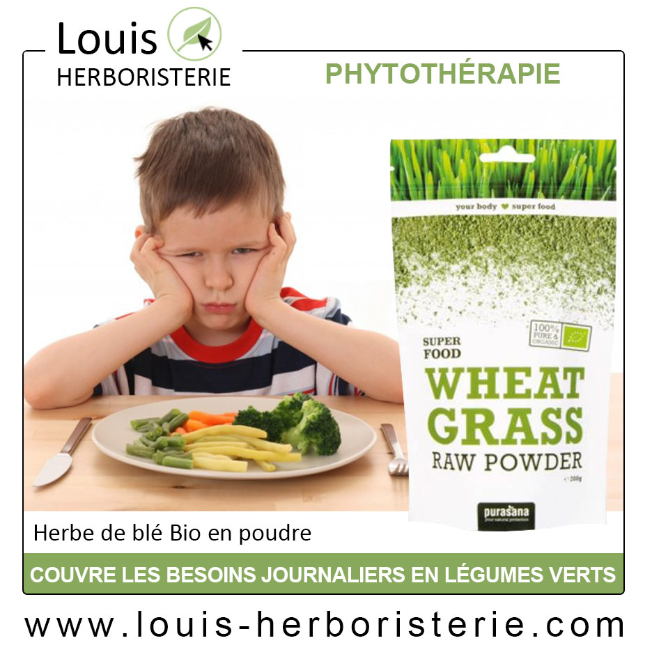 L'herbe de blé, conseillée pour sa richesse en nutriments et pour son activité détoxifiante, disponible à l'herboristerie Louis