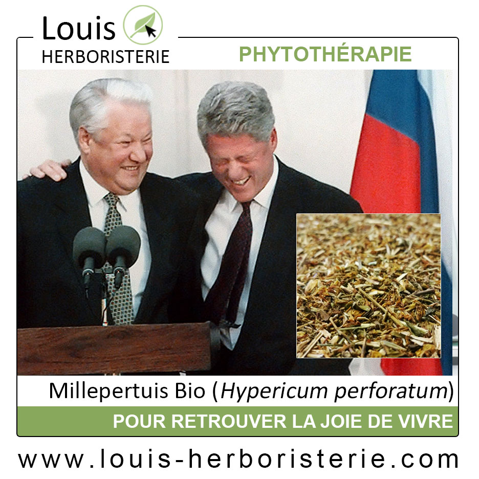 La tisane de millepertuis est employée en cas de troubles du sommeil et de dépression légère à modérée, disponible à l'herboristerie Louis