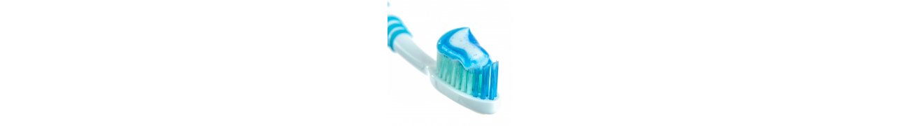 ▷ Dentifrice végétal en tube ou solide
