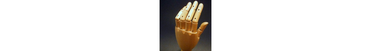 ▷ Les plantes au service de vos articulations