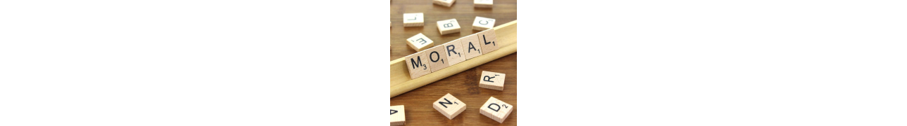 ▷ Stress, moral, sommeil les plantes vous apaisent