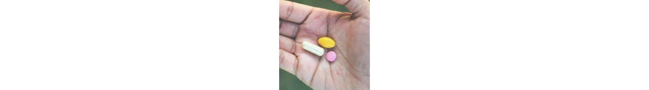 Les probiotiques au service de la digestion