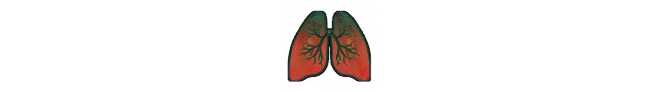 ▷ Les voies respiratoires de votre animal stimulées par les plantes