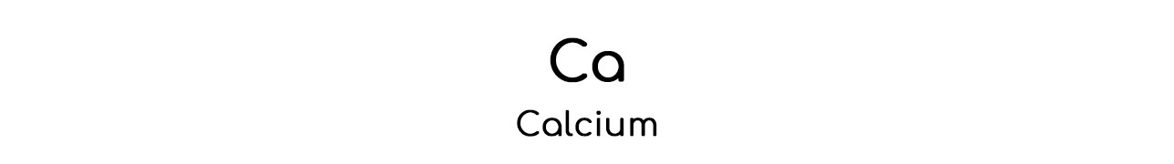 ▷ Le calcium au service de vos os et de vos dents