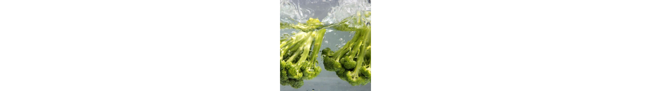 ▷ Fibres nutritives bénéfiques pour le transit et la digestion