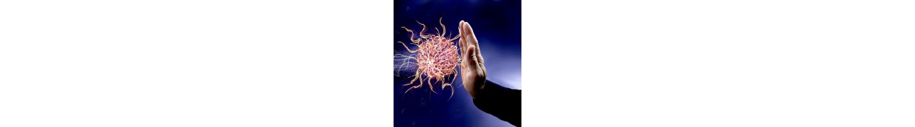 ▷ Huiles essentielles pour les défenses immunitaires