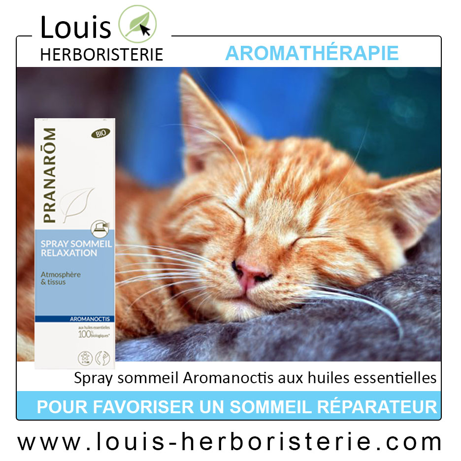 Photo d'un chat qui dort près d'un spray aux huiles essentielles Aromanoctis de Pranarôm
