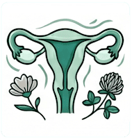Phytothérapie pour la santé au féminin, soulager la ménopause et l'équilibre hormonal