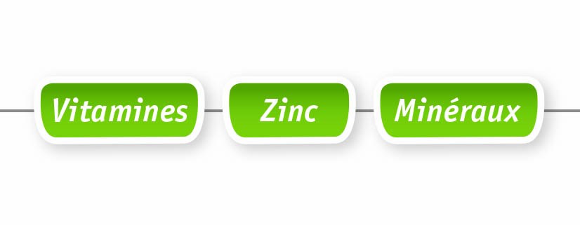 Trois pastilles vertes Vitamines, Zinc et Minéraux du BARF Complex Anibio