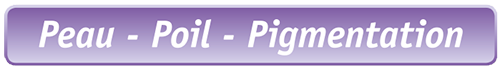 Bandeau Peau, Poil, Pigmentation de la Biotine avec Zinc Anibio