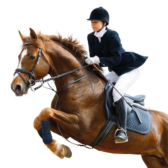 Cheval alezan franchissant un obstacle avec sa cavalière, mobilité au cœur de Horse-Cox Anibio