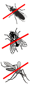 Mouche, taon et moustique barrés : insectes volants repoussés par Melaflon Cheval Anibio