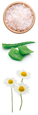 Sel de la mer Morte, aloe vera et fleurs de camomille, ingrédients du shampoing Anibio pour chien et chat