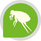 Pictogramme d’une puce : Melaflon Habitat repousse puces, acariens et poux