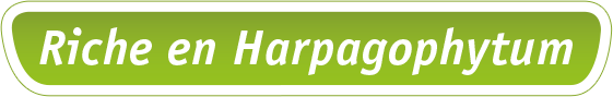 Bandeau vert Riche en harpagophytum, plante phare de la formule Horse-Cox