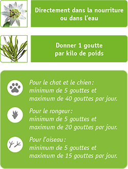 Posologie AND 102 Bionature : 1 goutte par kilo dans la nourriture ou l’eau, 5 à 40 gouttes par jour pour chien et chat, 5 à 20 pour rongeur, 5 à 15 pour oiseau