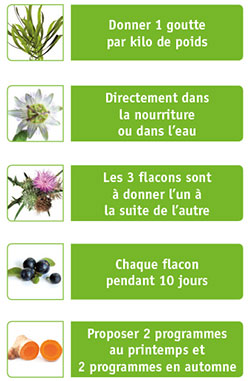 Plan de santé : 1 goutte par kilo dans la nourriture ou l’eau, 3 flacons de 10 jours, 2 programmes au printemps, 2 en automne