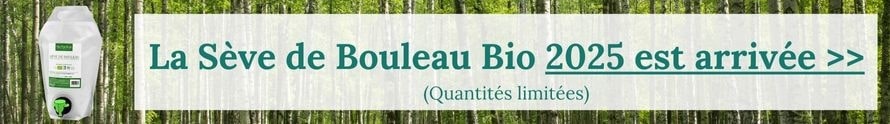 Seve de bouleau 2025