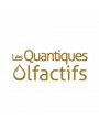 Les Quantiques Olfactifs