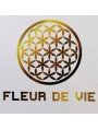 Fleur de Vie