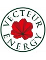 Vecteur Energy