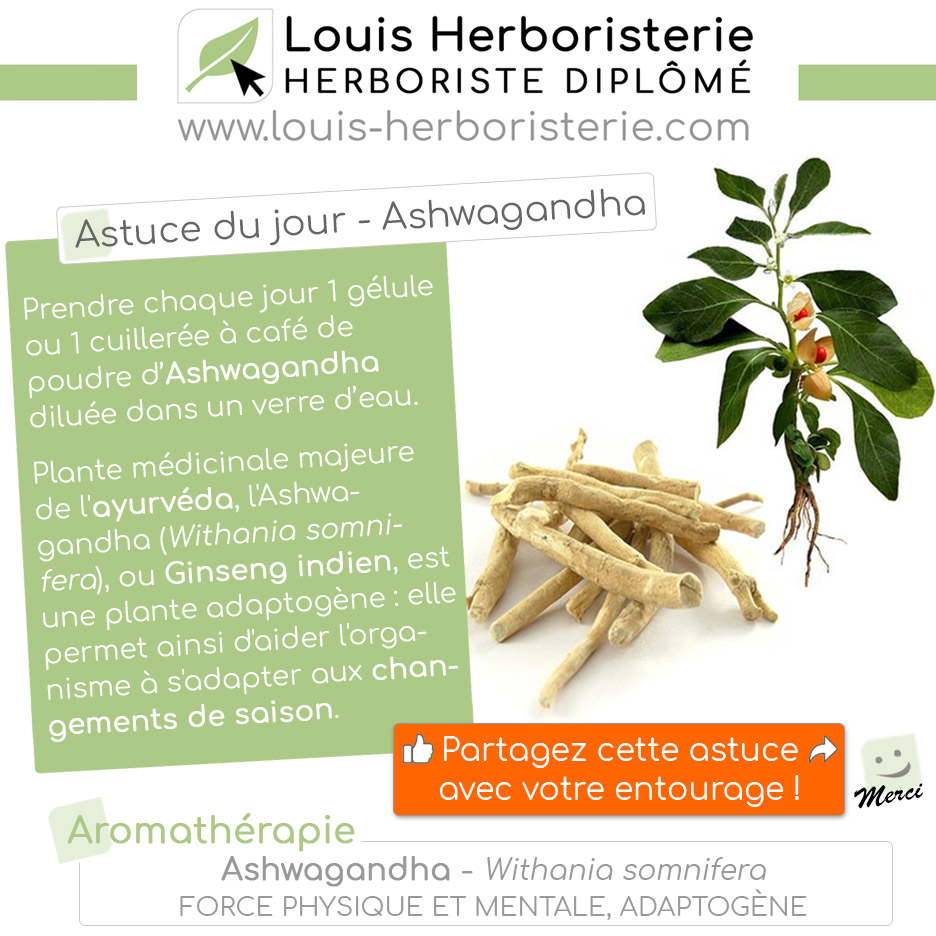 Astuce du jour : l'Ashwagandha pour s'adapter aux changements de saison !