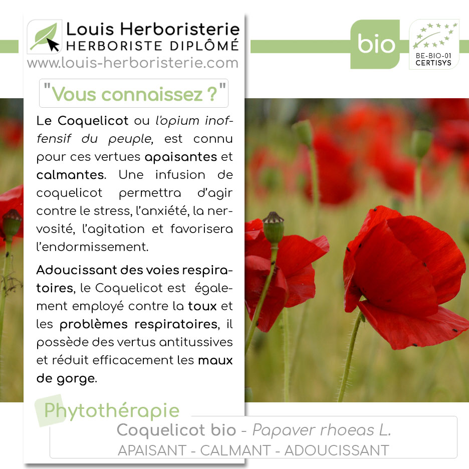 le coquelicot, adoucissant des voies respiratoires, réduit efficacement les maux de gorge