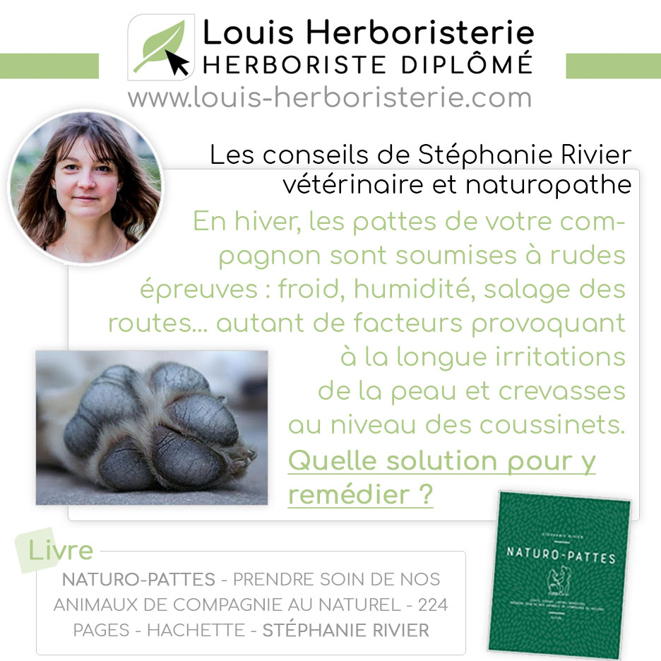 Les conseils de Stéphanie Rivier naturo-pattes