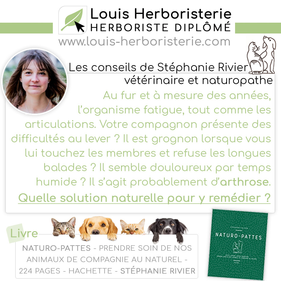 Les conseils de Stéphanie Rivier naturo-pattes