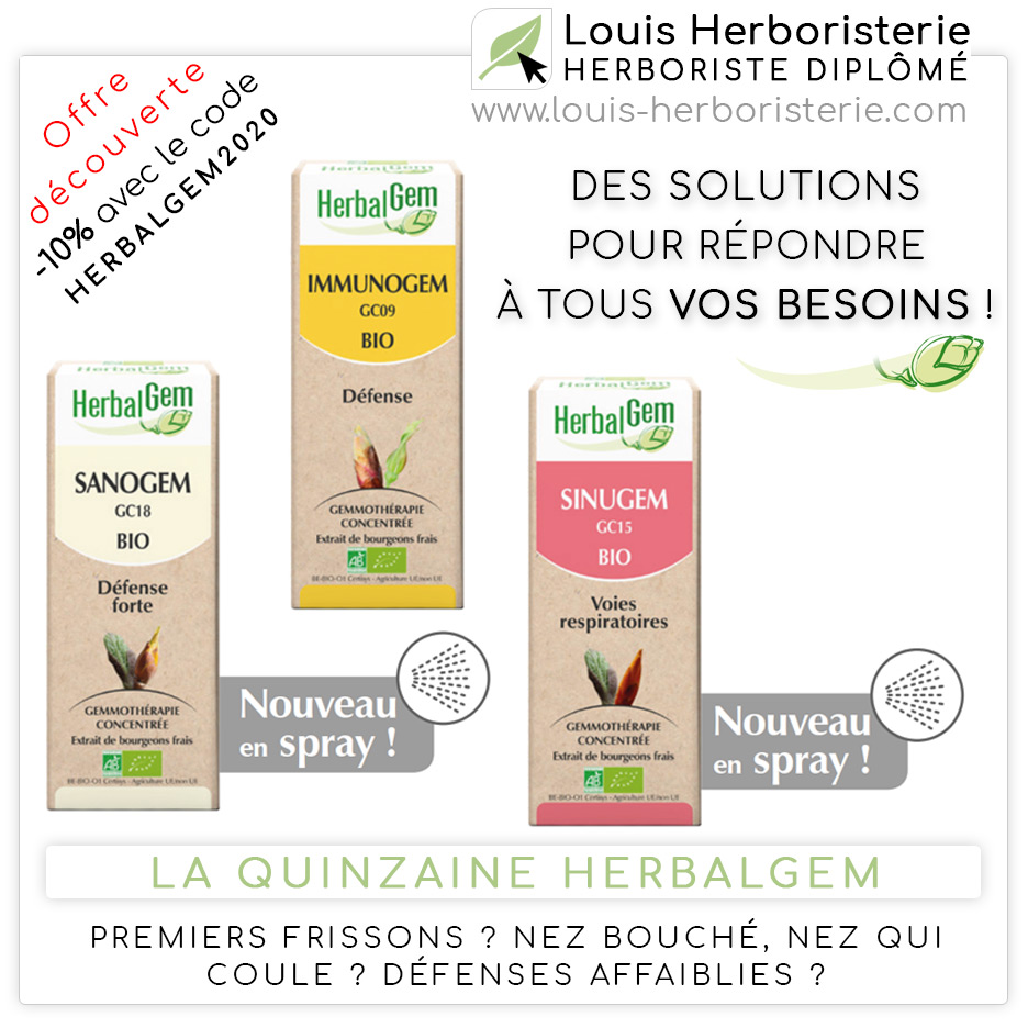 Les sirops enrichis aux bourgeons Bio de Herbalgem