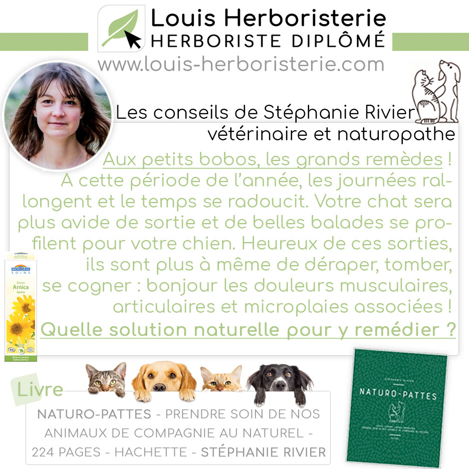 Les conseils de Stéphanie Rivier naturo-pattes