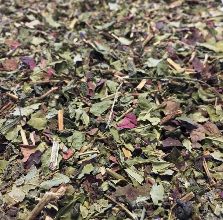 Tisane Minceur de Louis-herboristerie