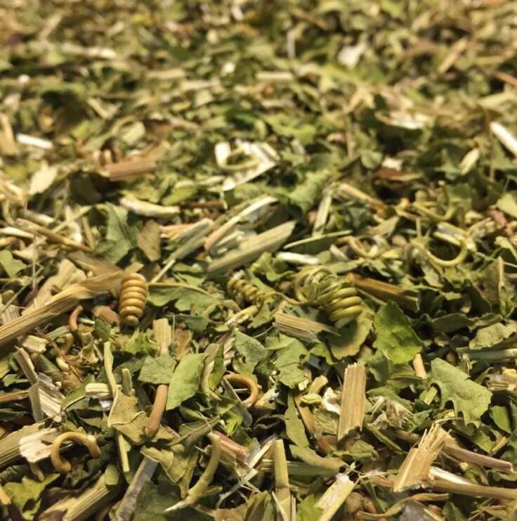 Tisane de Passiflore sur le site de Louis-herboristerie