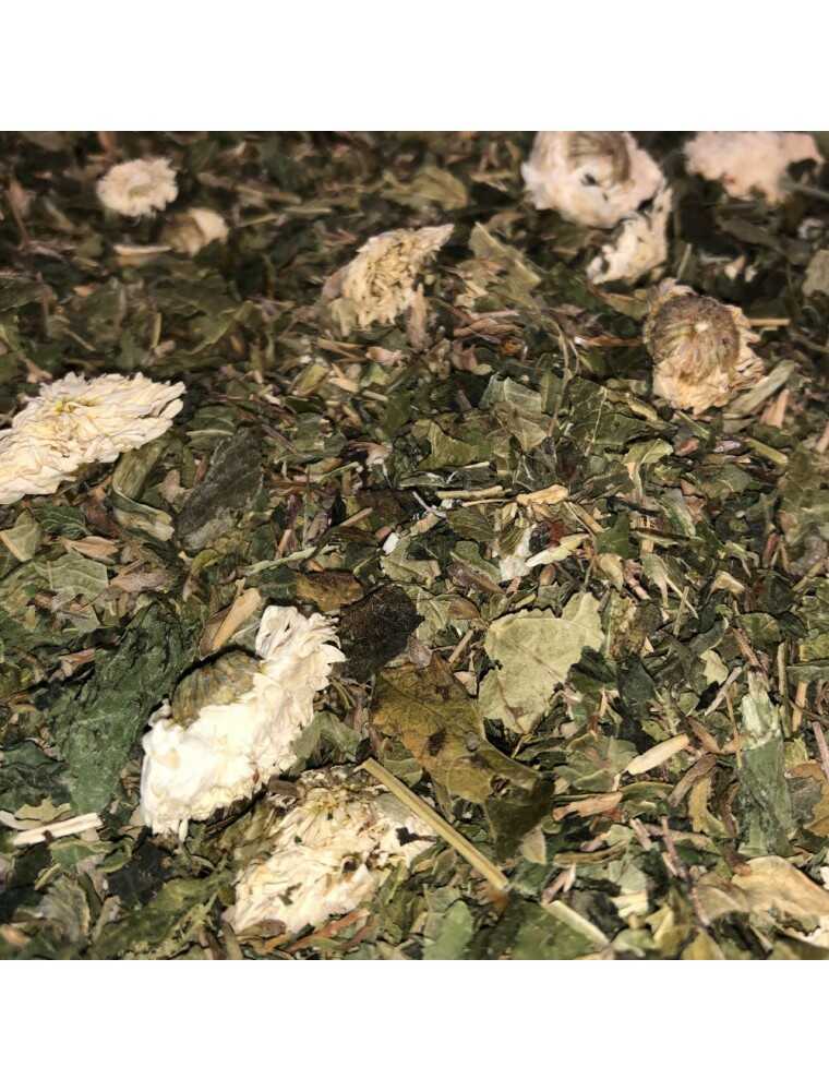 Tisane respiration n°1 sur le site de Louis-herboristerie