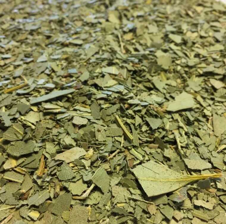 Tisane d'Eucaplyptus Bio - Feuilles coupées - Eucalyptus globulus sur le site de Louis-herboristerie