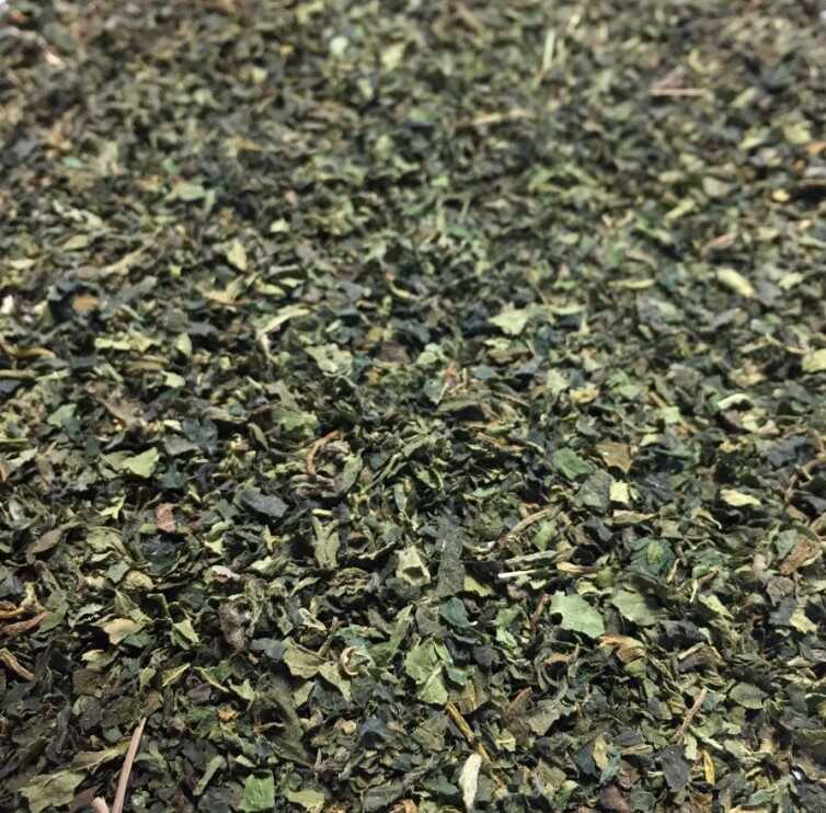 Ortie - Urtica Dioica L. sous forme de tisane sur le site de Louis-herboristerie