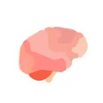 dessin d'un cerveau de chat