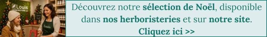 S&eacute;lection de No&euml;l de l&#039;herboristerie LOuis