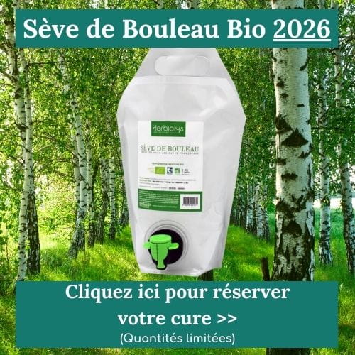 S&egrave;ve de bouleau 2026