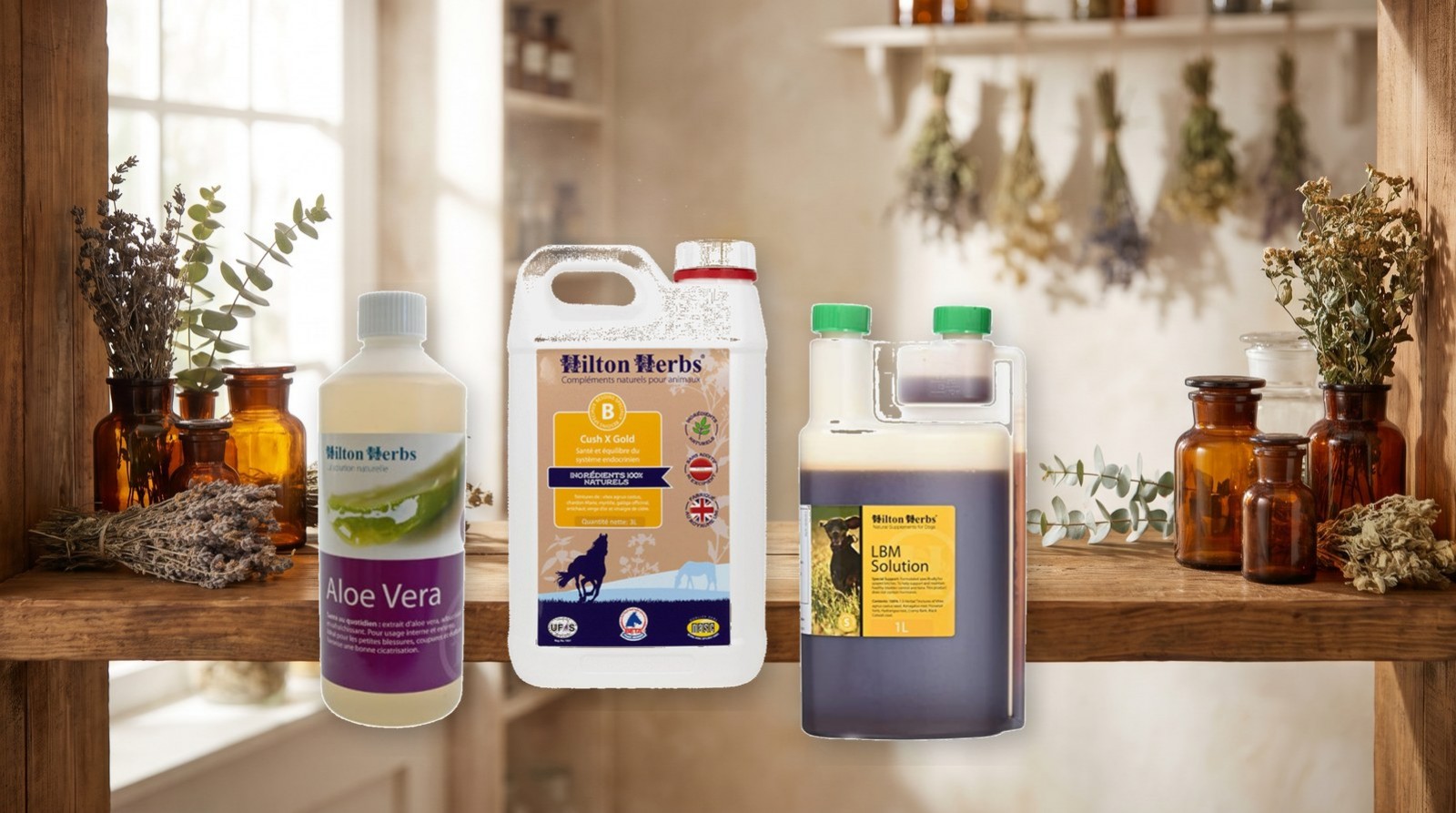 Hilton Herbs disponible sur le site de l'herboristerie Louis